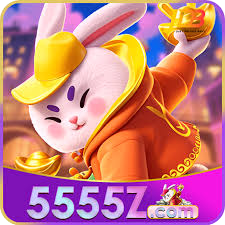 5555z.COM